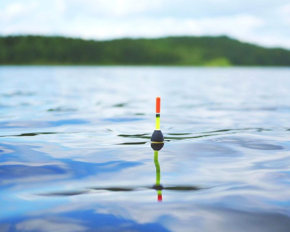 Mide tu éxito en la pesca